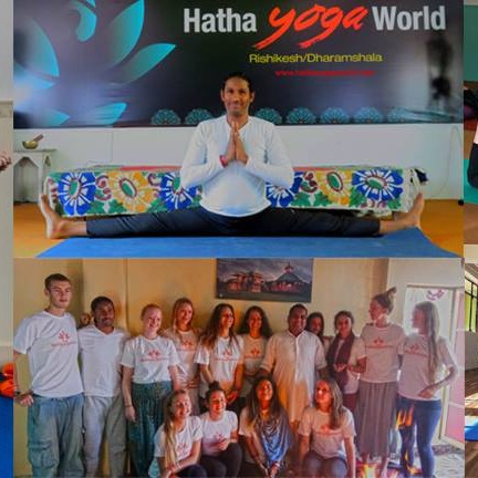 Hatha Yoga World Dharamsala Image